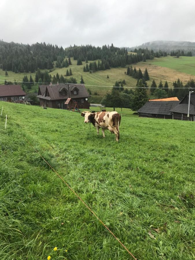 681 * Ždiar